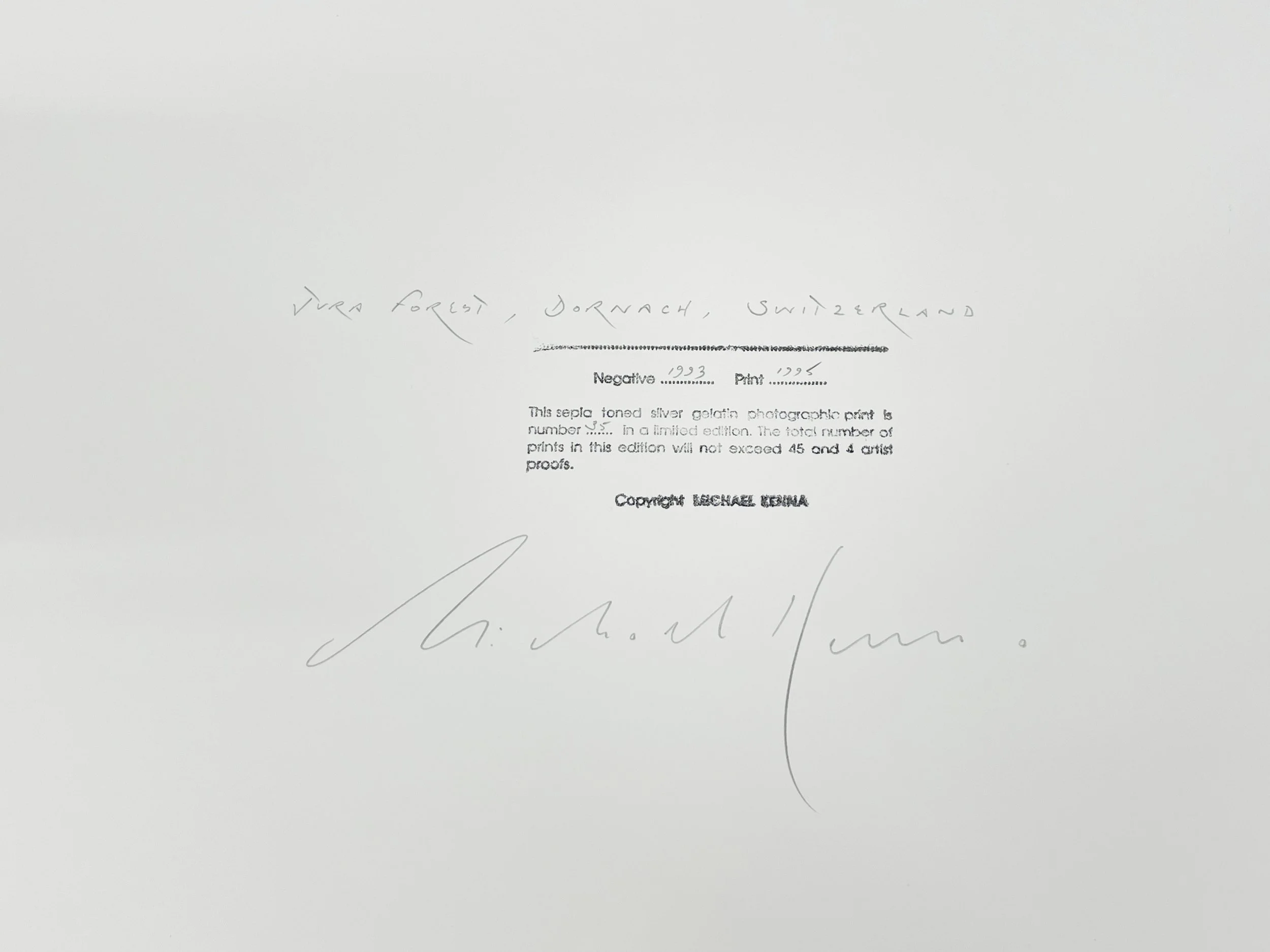 Michael Kenna: Jura Forest, Dornach, Switzerland, 1993 — PDNB